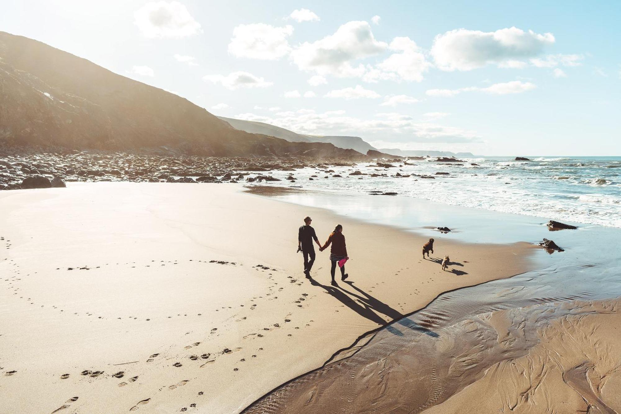 Affittacamere Trevigue Farm Crackington Haven Esterno foto